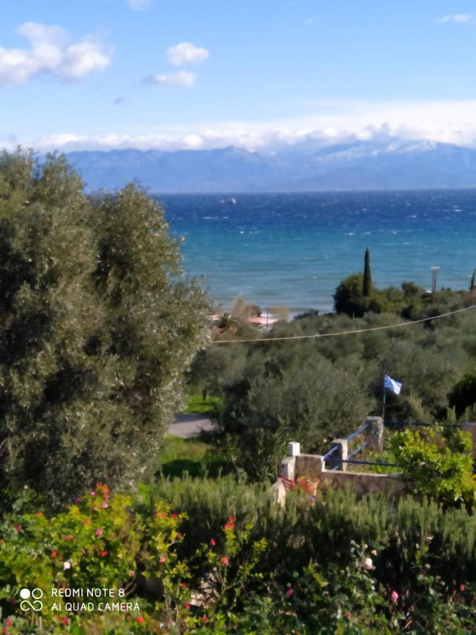 Villa Panorama Michalis Haikos Two Minutes Walk To The Beach Peroulia Kómboi Exteriör bild